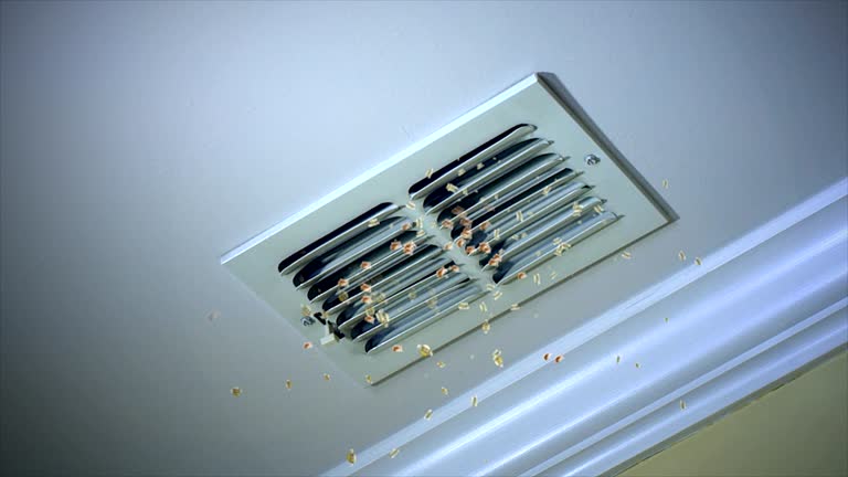 Best Air Duct Cleaning Near Me  in Algona, IA