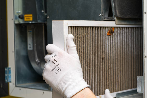 Best HVAC Air Duct Cleaning  in Algona, IA