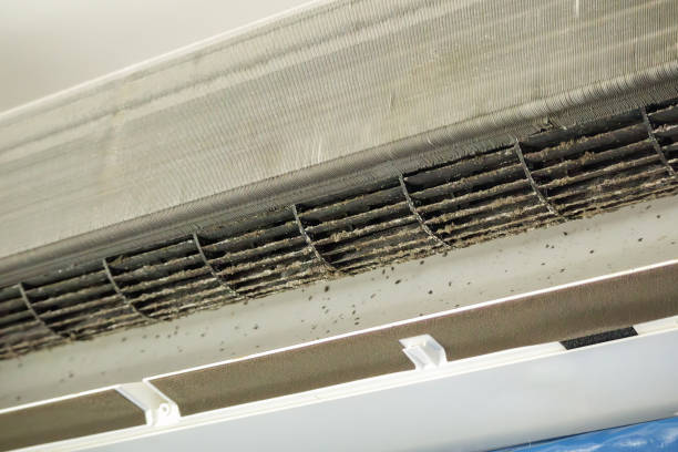 Best Air Duct Cleaning Company Near Me  in Algona, IA