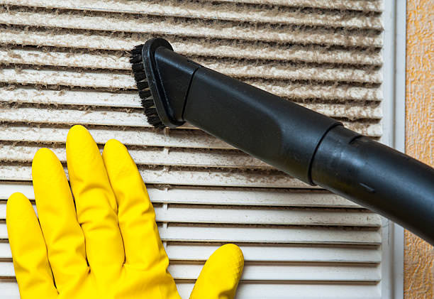 Best Dryer Vent Cleaning Services  in Algona, IA